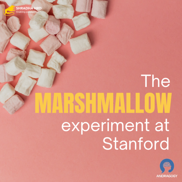 The MARSHMALLOW experiment at Stanford